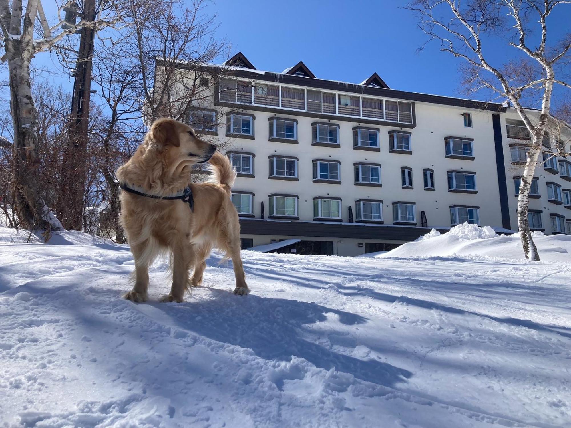 志賀レークホテル 山ノ内町 エクステリア 写真