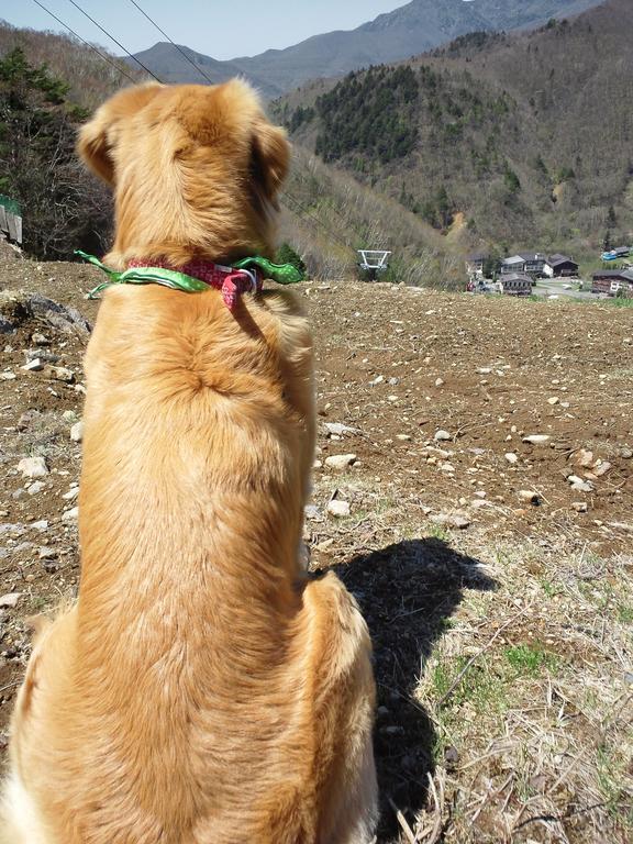 志賀レークホテル 山ノ内町 エクステリア 写真
